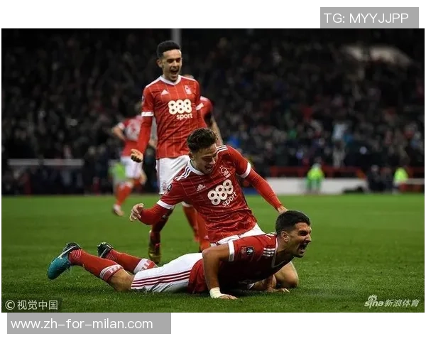 非洲杯精彩对决象牙海岸与南非的比分揭晓与赛况分析